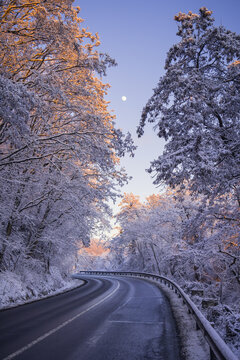 A Winter Landscape Of An Asphalt Road Going Through A Forest, Blue-Purple Colored Trees Covered With Snow, The Yellow Sun Rays Going Through The Branches, Moon On The Sky