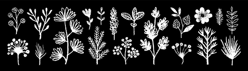 Chalk flower, vector plant, leaf, branch. Floral spring doodle set. Brush hand drawn flowers on chalkboard. Charcoal, pencil or crayon white elements on blackboard. Paint simple abstract silhouette bg