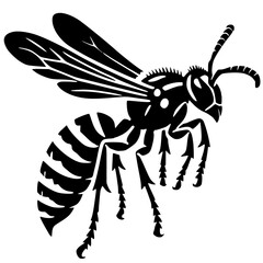 Silhouette of a wasp