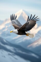 Obraz premium Majestic Eagle Soaring Over Snowy Mountains