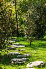 Krasnodar "Japanese Garden". Winding footpaths among thickets of ornamental plants. Path is made of huge separate flat stones. Park Krasnodar or Galitsky Park.