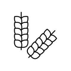 Wheat vector icon
