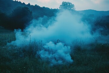 Fototapeta premium A blue smoke is rising from the grass. The smoke is thick and dense, creating a hazy atmosphere. The scene is set in a field, with trees in the background. The smoke seems to be coming from a fire