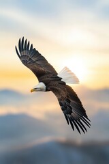 Fototapeta premium Majestic Eagle Soaring Through Golden Sunrise Sky