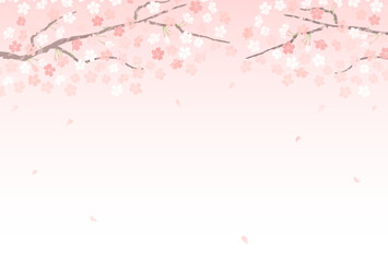 桜が舞い散る春背景