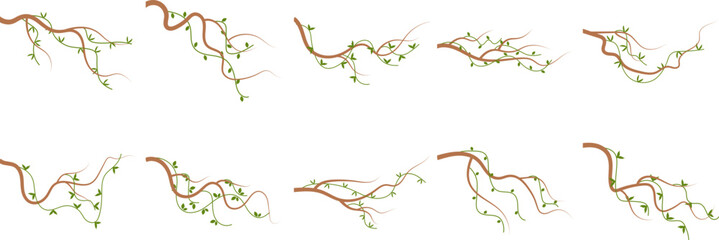 Tropical Hanging Vines  © Nakula