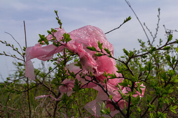 Plastic wrap caught in branches reflects environmental challenges in nature during a sunny day at a...