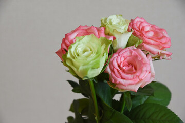 緑とピンクのばら