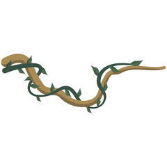Obraz premium Tropical Hanging Vines