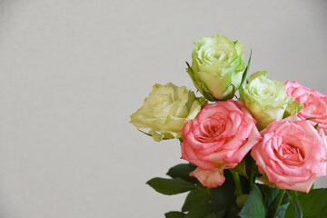 緑とピンクのばら