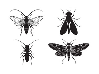 insect silhouette vector images. Perfect for logos, illustrations, posters, and digital artwork, these scalable vector graphics feature a variety of insects, including butterflies, beetles, ants, drag