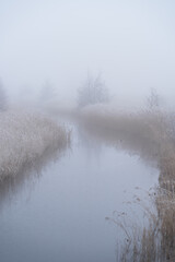 Winter landscape with fog, hoarfrost and a small creek.