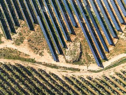 Aerial view of solar panels beside an olive grove in Teruel, Zaragoza, Spain. This blend of renewable energy and agriculture highlights sustainability, harnessing sunlight while preserving rural trad