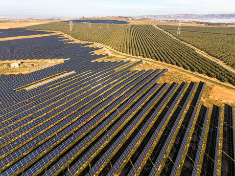 Aerial view of solar panels beside an olive grove in Teruel, Zaragoza, Spain. This blend of renewable energy and agriculture highlights sustainability, harnessing sunlight while preserving rural trad