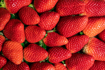 Conjunto de fresas maduras