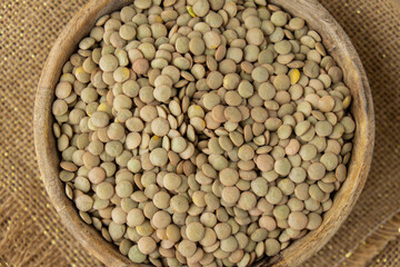 Raw green lentil Gluten free cereals. Health gut benefits. Concept of alternative whole spelt grain ingredient. Vegetarian diet recipes. Plant-based lifestyle. Copy space Protein rich eating 