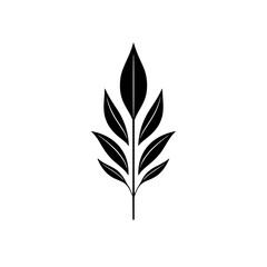 Elegant Black and White Leaf Illustration: Minimalist Botanical Design, Perfect for Nature-Inspired Projects