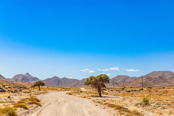Arid landscape in the Richtersveld National Park