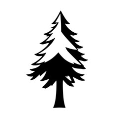 Majestic Evergreen: A Black and White Pine Tree Illustration