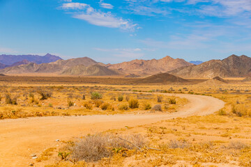 Arid landscape in the Richtersveld National Park