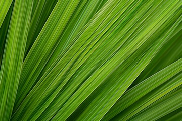 Vintage-toned abstract green striped background featuring a green textured leaf from a plant. Natural eco setting