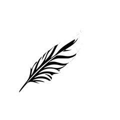 Obraz premium Elegant Black and White Feather Design: Simple Line Art Graphic, Minimalist Vector Illustration, Perfect for Decoration and Symbolism