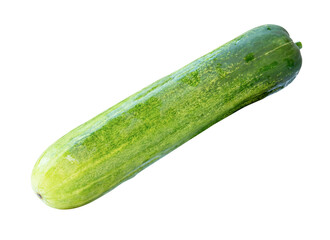 Side view of single long green cucumber isolated with clipping path in png file format