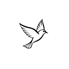 Elegant Black and White Dove in Flight: A Symbol of Peace and Freedom