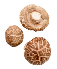 Top view set of Fresh shiitake mushrooms isolated on white background with clipping path. Japanese and Chinese herb