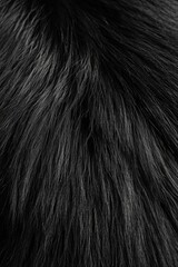 Naklejka premium Magnified view of human hair strands with split ends and fine lines, showcasing texture and health