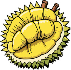 Tropical Durian – King of Fruits Illustration