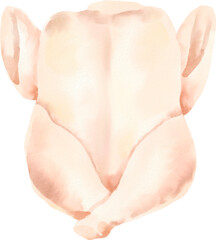 watercolor chicken meat