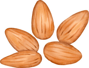 watercolor almond