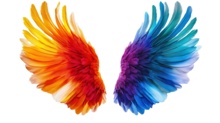 Colorful Wings, Feathers, Transparent Background, Cut Out