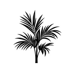 Palm Tree Silhouette: Minimalist Botanical Illustration, Tropical Plant Vector Graphic, Black and White Nature Design