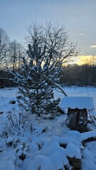 Winter landscape in a mountain village