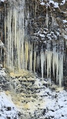 Icicles near the bank of a mountain river