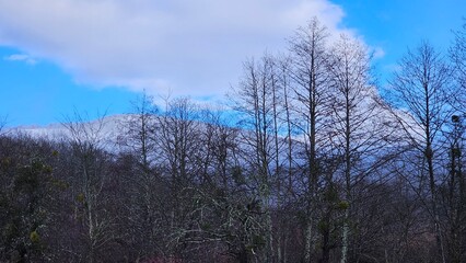 Winter landscape in a mountain village
