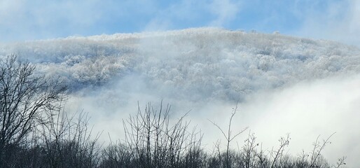 Fototapeta premium Winter landscape in a mountain village