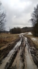 A quiet dirt road winding through an open field with trees on either side