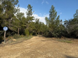 Fototapeta premium Public park on the island of Cyprus, forest. Installed garbage bins and informational prohibiting and permitting signs, infographics.