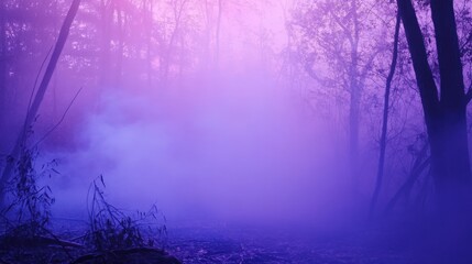 Ethereal Pink and Violet Glow in Peaceful Forest with Soft Light Source Surrounding