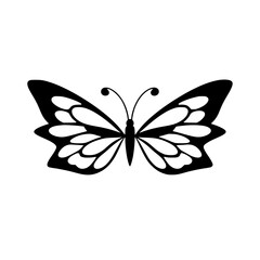 Elegant Black and White Butterfly: Nature, Wings, Insect, Symbol, Vector Graphic