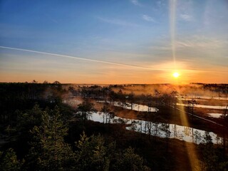 sunrise in the swamp