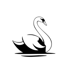 Elegant Black and White Swan: A Symbol of Grace and Serenity in Nature