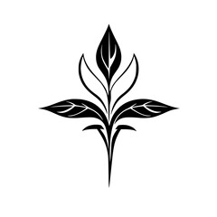 Elegant Black and White Floral Design: Minimalist Botanical Plant Leaves Illustration