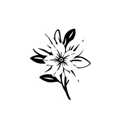 Elegant Black and White Flower Illustration: Minimalist Botanical Line Art Print