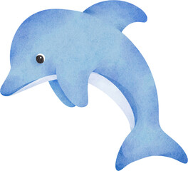 Obraz premium watercolor dolphin