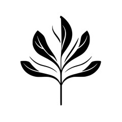 Elegant Black and White Botanical Leaf Illustration: Minimalist Floral Design, Simple Nature Artwork, Stylish Plant Graphics