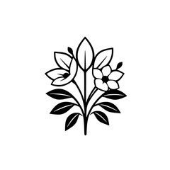 Elegant Black and White Floral Design: A Minimalist Botanical Illustration